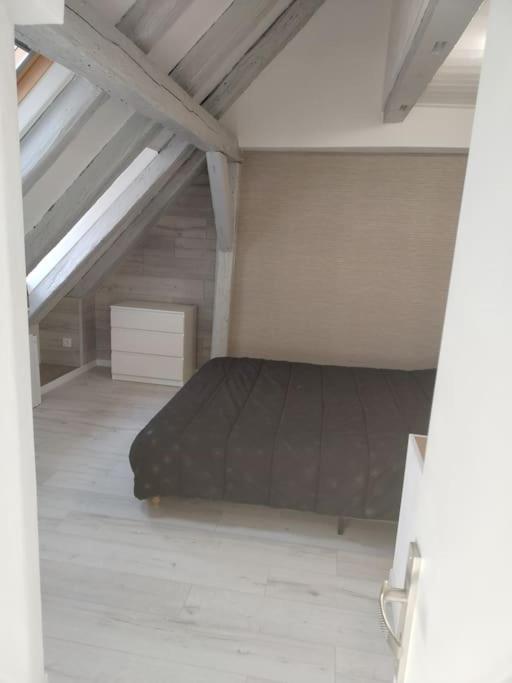 Charmant Appartement Cosy 셀레스탓 외부 사진